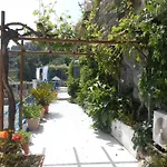 Al Geranio