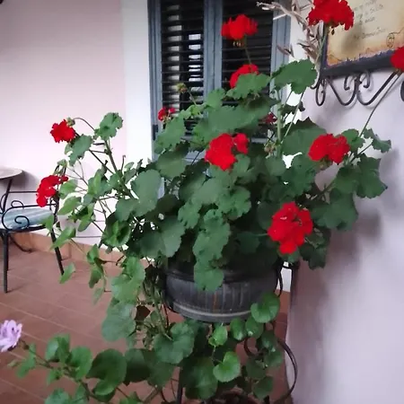 Al Geranio Bed & Breakfast