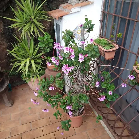 Bed & Breakfast Al Geranio Furore