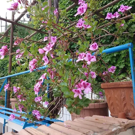 Al Geranio Bed & Breakfast Furore