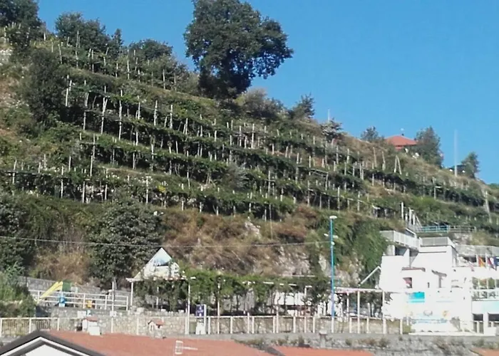 Al Geranio Фуроре