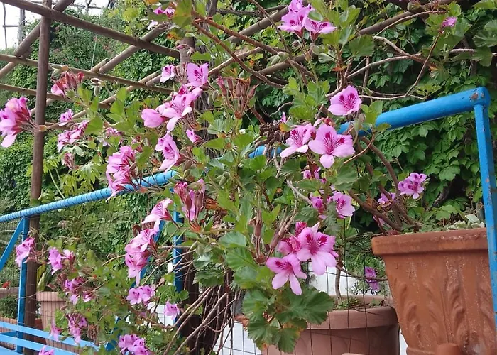 Al Geranio Bed & Breakfast Furore